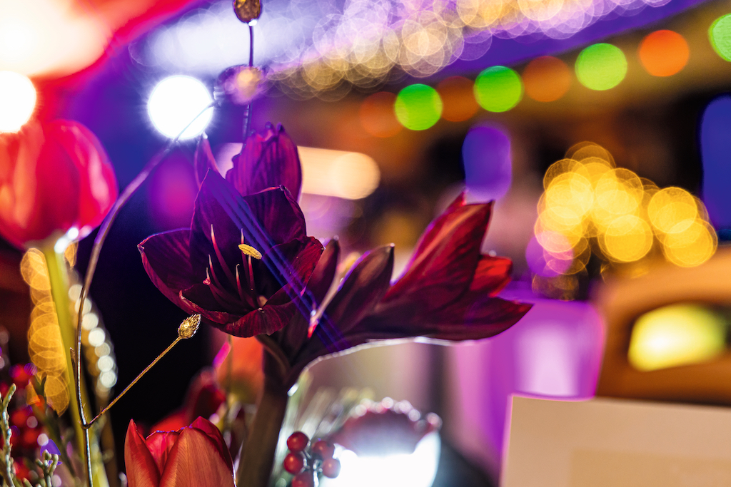 Die KölnTourist wünscht frohe Weihnachten!